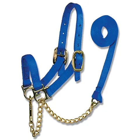 BainBridge Nylon Cattle Show Halter -