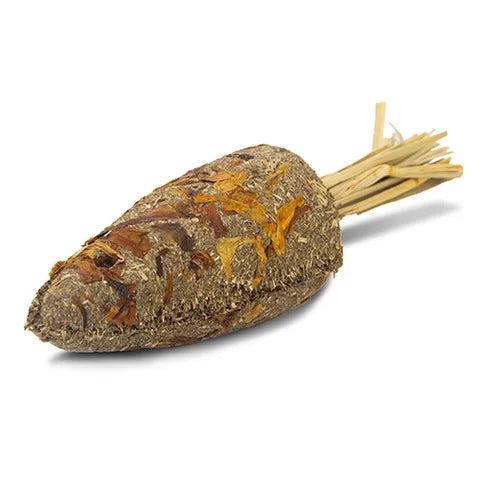 Bainbridge Orange Timothy Carrot