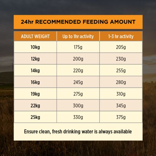 Purina Pro Plan Adult Medium Breed Chicken 15kg