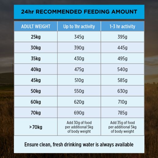 Purina Pro Plan Adult Large Breed Chicken 15kg