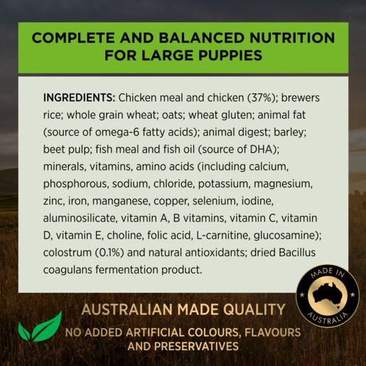 Purina PRO PLAN Puppy Large Breed Chicken Dry Dog Food