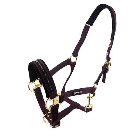 BAINBRIDGE HORSE HALTERS