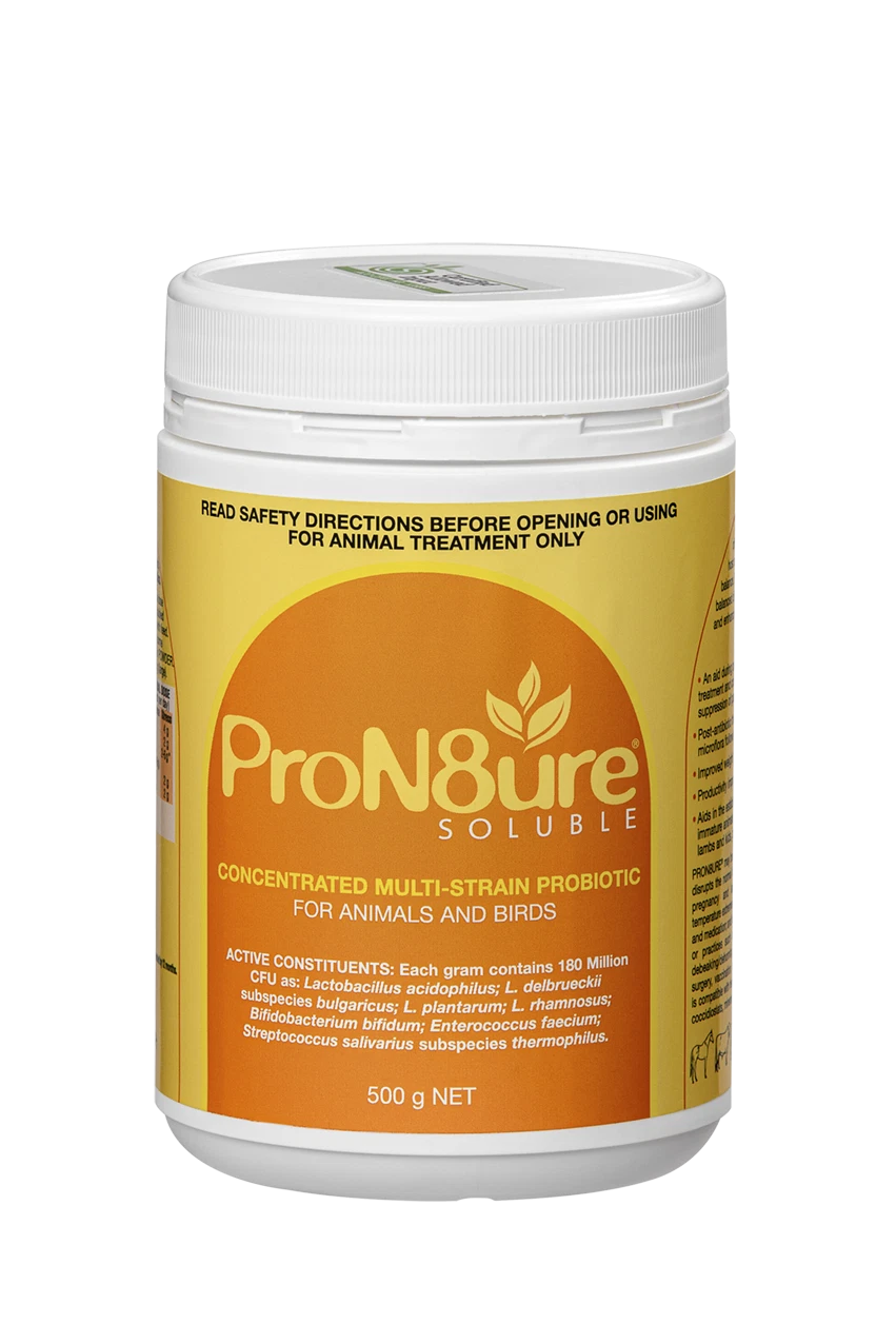 IAH ProN8ure Soluble Orange