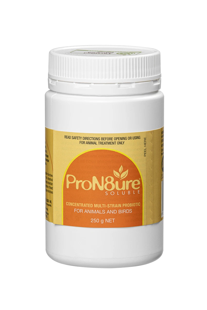 IAH ProN8ure Soluble Orange