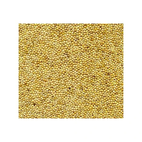 Avigrain Shirohie (Jap) Millet 15Kg