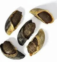 Bark & Beyond Cow Hooves 8pc