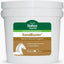Stance Equitec Sand Buster