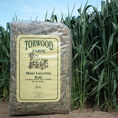 Torwood Farm Mini