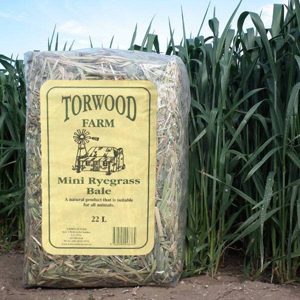 Torwood Farm Mini