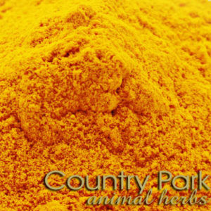 Country Park Turmeric Powder 2.5Kg