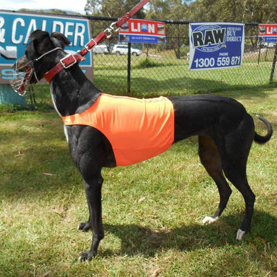 Greyhound Trialing Vest