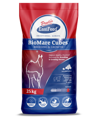 Prydes BioMare Cubes 20kg