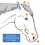 Equimec Plus Tape Horse Wormer 15G
