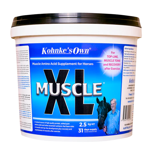 Kohnke Muscle XL 10kg