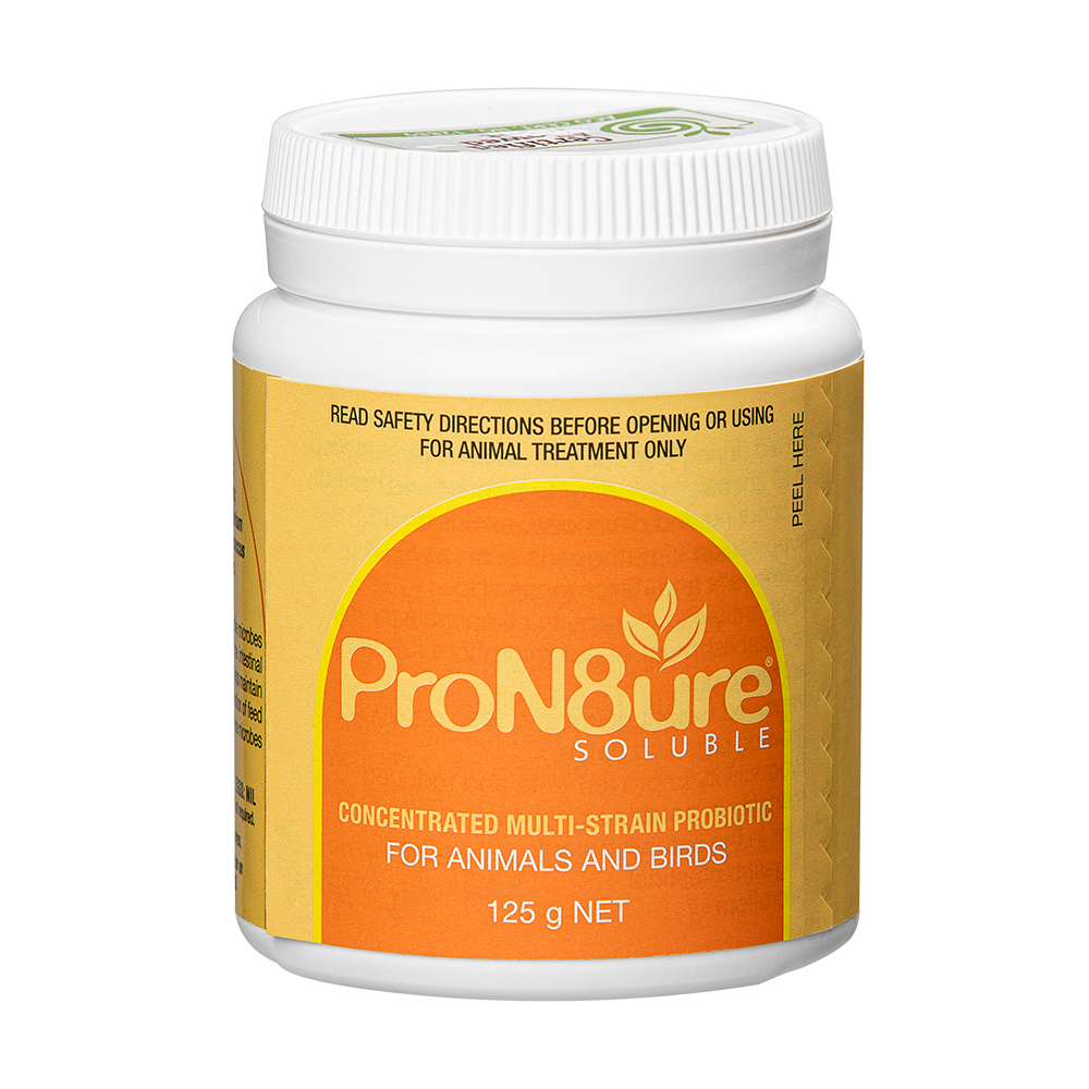 IAH ProN8ure® Soluble 250g Orange