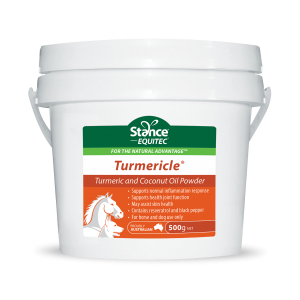 Stance Equitec Turmericle 500g Horse & Dog